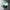 Grand Wallet Deep Green Special Edition Volles italienisches Leder