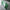 Grand Wallet Deep Green Special Edition Volles italienisches Leder
