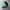 Grand Wallet Deep Green Special Edition Volles italienisches Leder