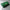 Grand Wallet Deep Green Special Edition Volles italienisches Leder