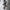 Sling Strap Telefon