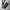 Sling Strap Telefon